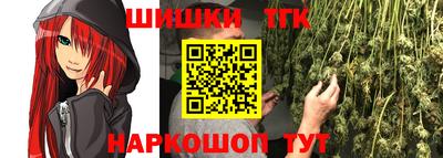 МДПВ Гатчина