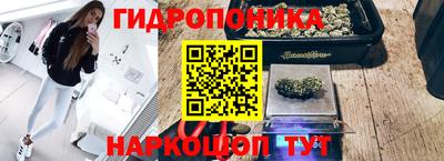 МДПВ Гатчина