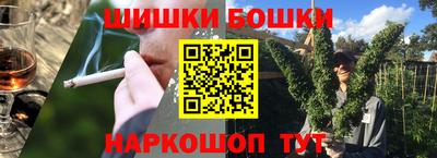 МДПВ Гатчина
