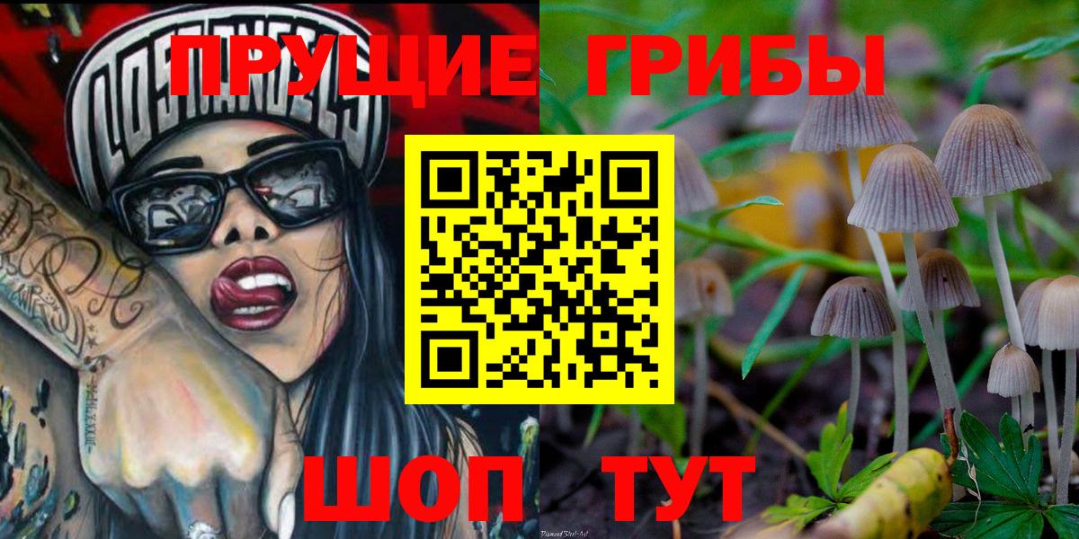 Галлюциногенные грибы Psilocybe  Вход с VPN  Губкинский 
