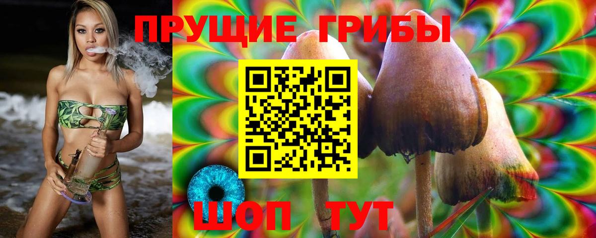 Галлюциногенные грибы Magic Shrooms Губкинский
